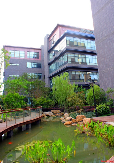 �W(w��ng)վ��(y��u)��֮�W(w��ng)վ����½���ԭ������Щ��