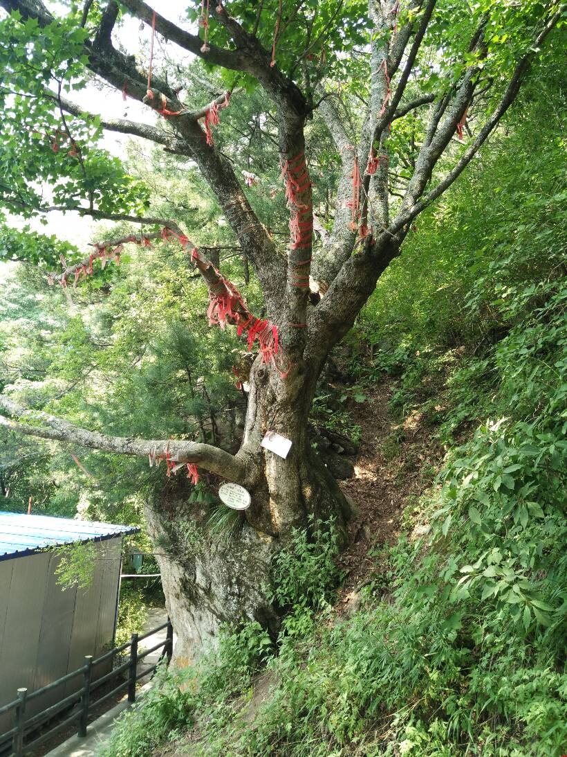 ��ɽ֮�ϵľW(w��ng)վ���O(sh��)֮��(sh��)