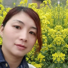 �W(w��ng)վ���O(sh��)Ʒ��